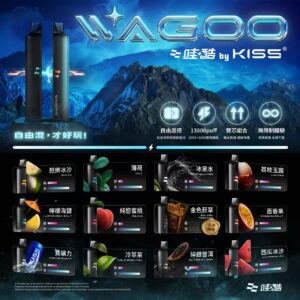 1 💗哇酷 KIS5的高端品牌❣️ WAGOO 6500口新品!🌈KIS5 爆款家族新成員🔥 口感自由混更爽❤️ 限時滿10送1!
