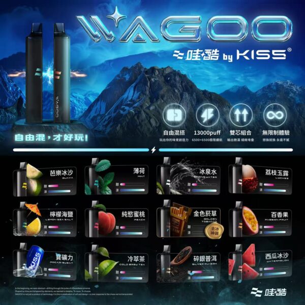 1 💗哇酷 KIS5的高端品牌❣️ WAGOO 6500口新品!🌈KIS5 爆款家族新成員🔥 口感自由混更爽❤️ 限時滿10送1!